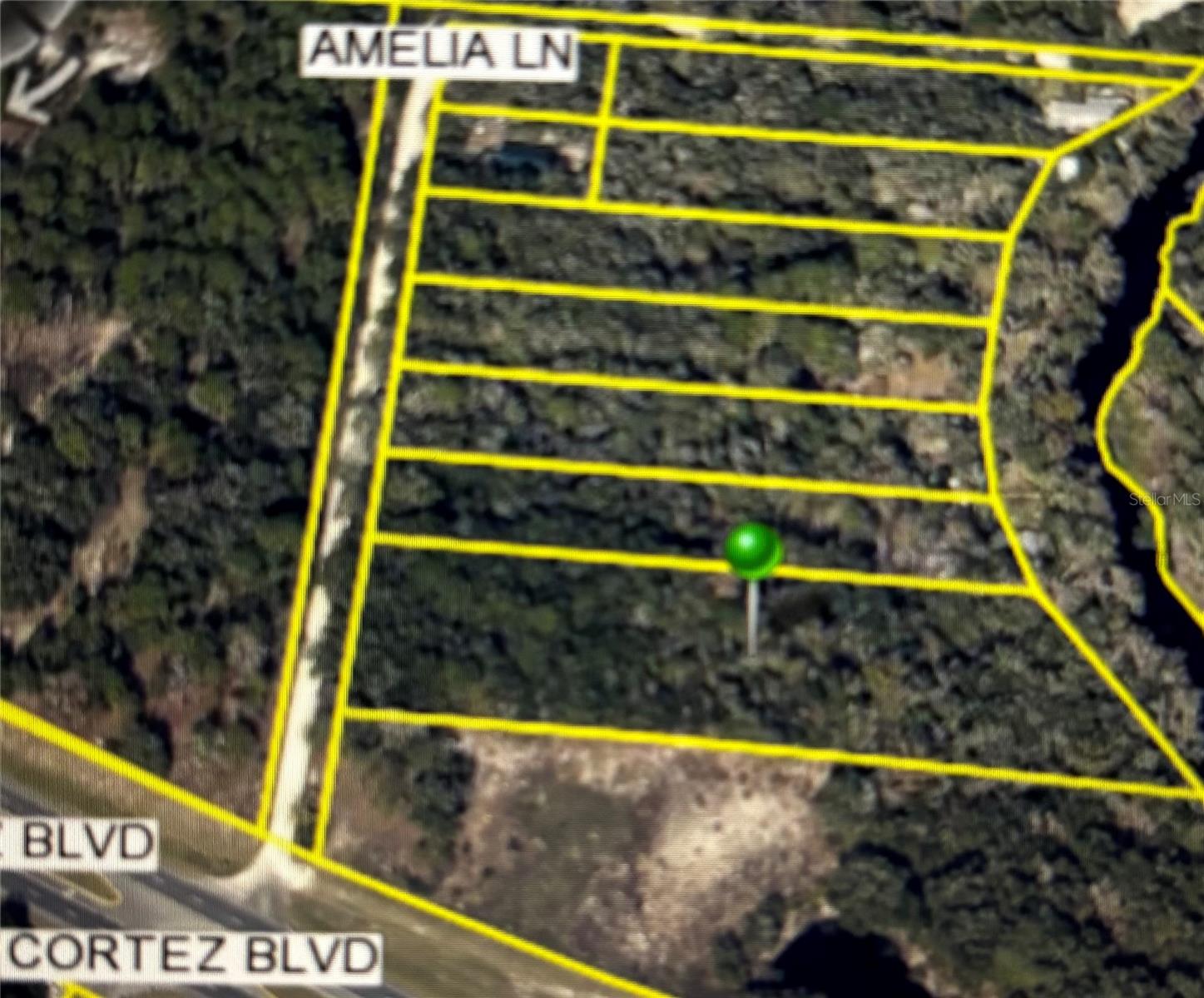 AMELIA LN