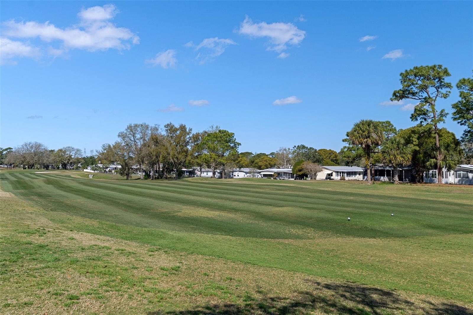 14751 BROOKRIDGE BLVD