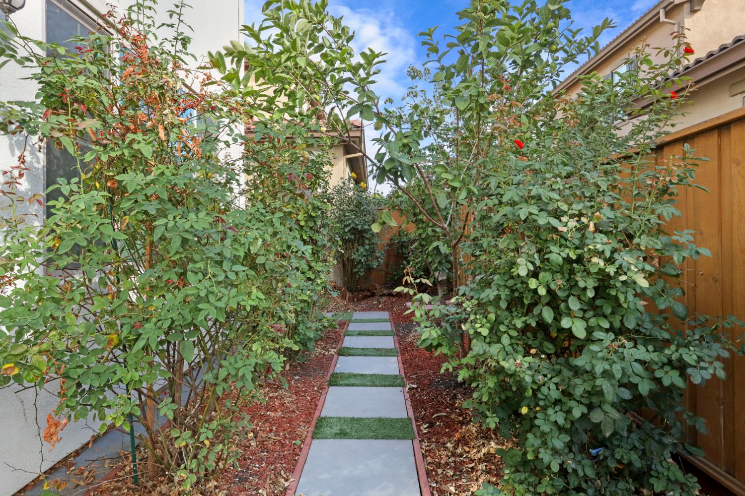 61 W Viola Street