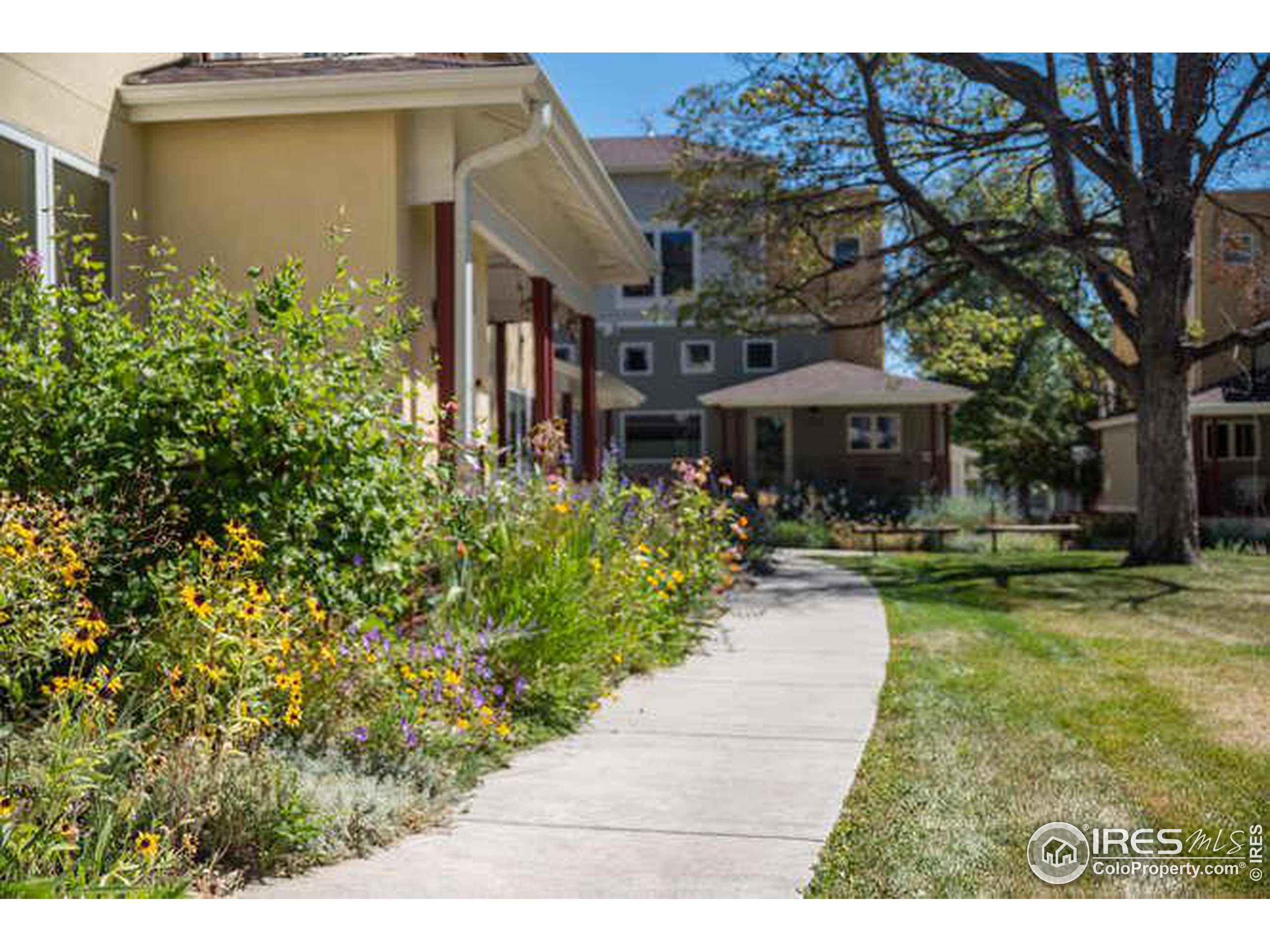 1215 Cedar Ave 202