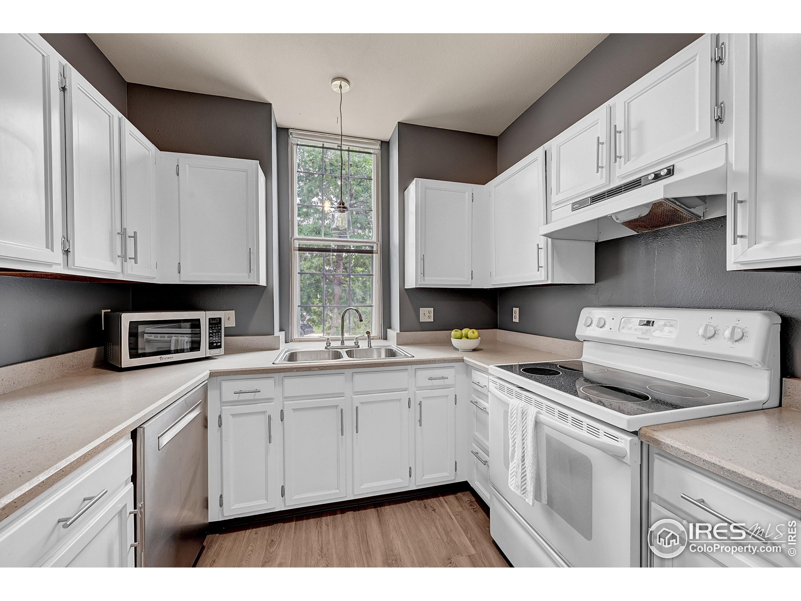 935 Vetch Cir
