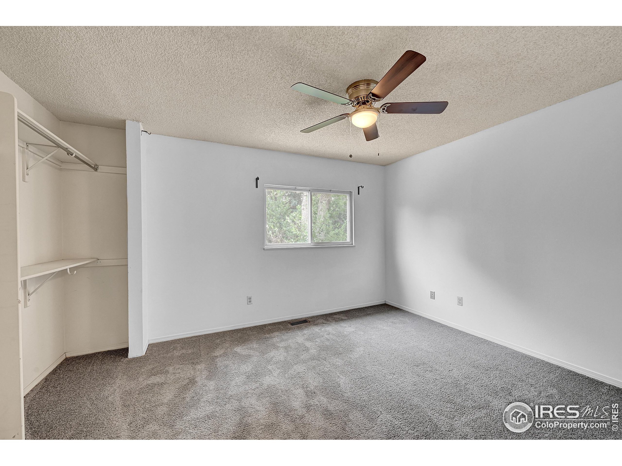 935 Vetch Cir