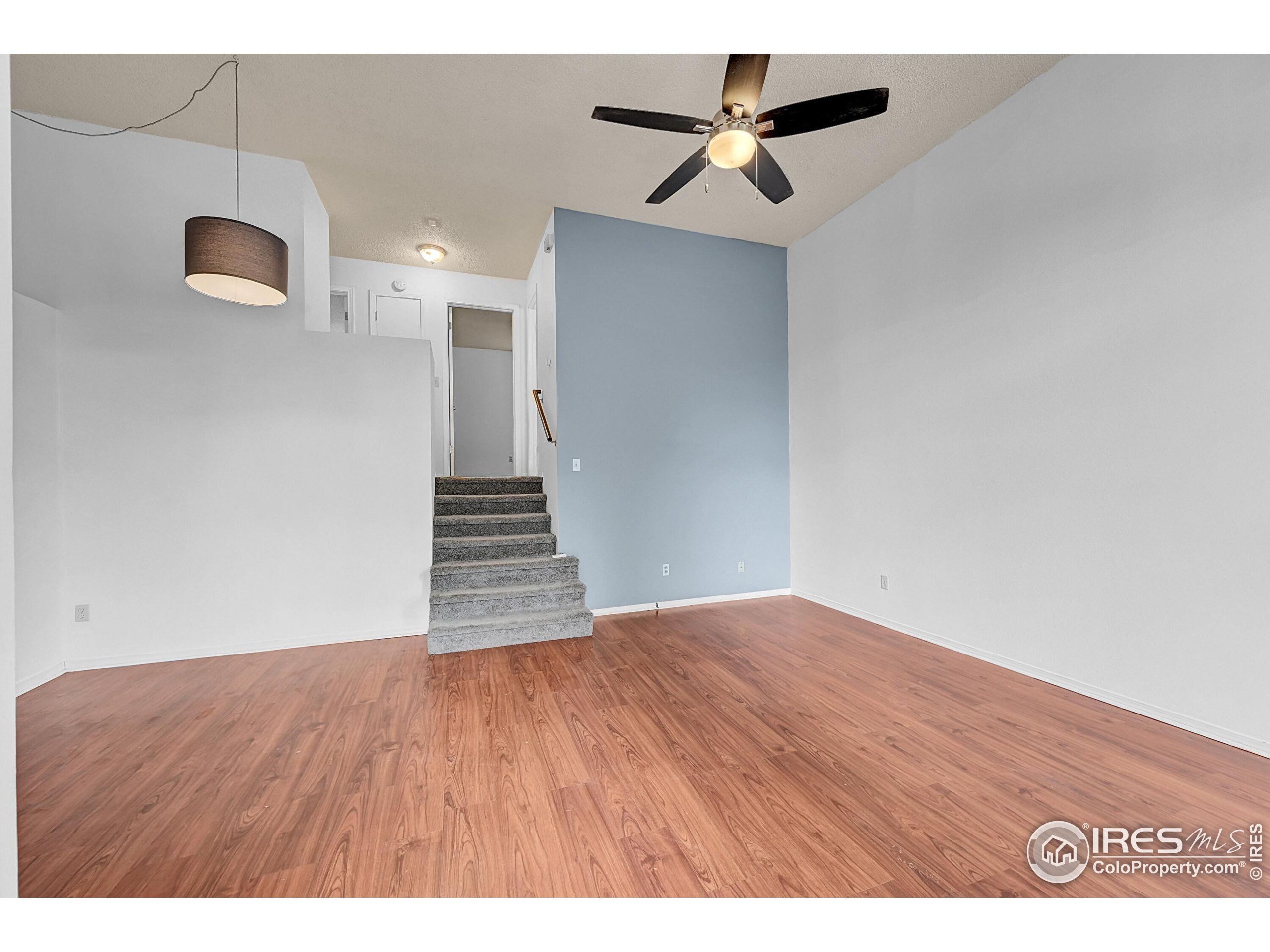 935 Vetch Cir