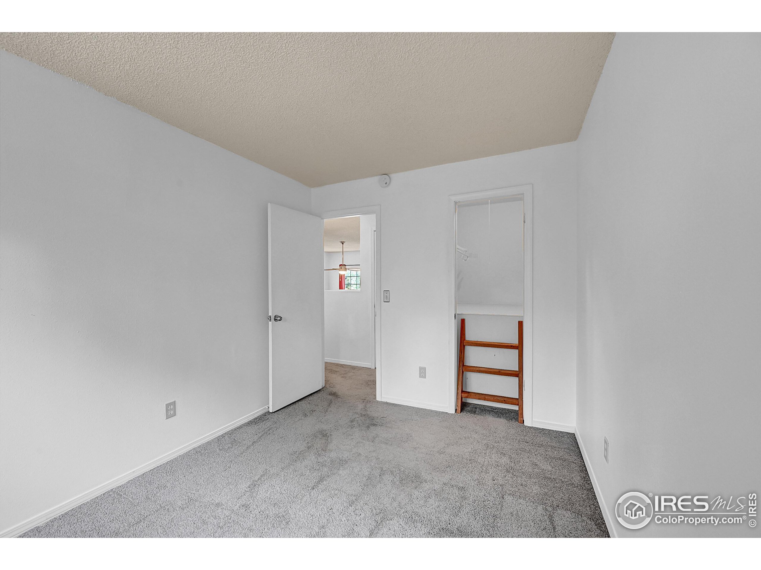 935 Vetch Cir