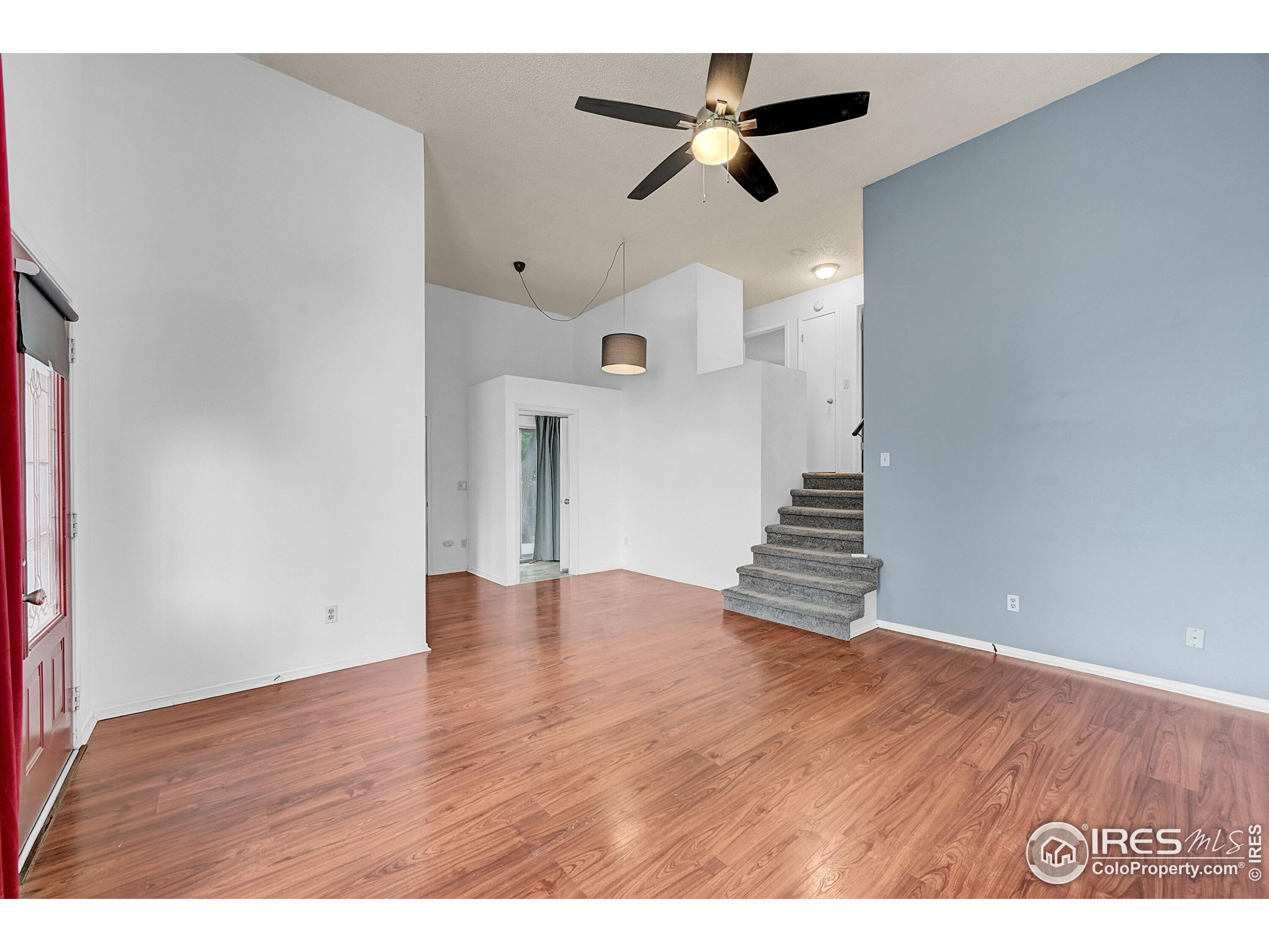 935 Vetch Cir