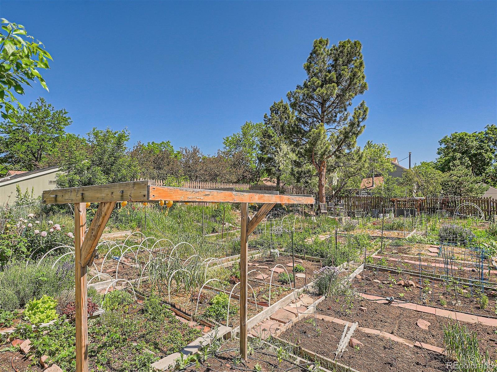 3482 Cripple Creek Square Unit: G18