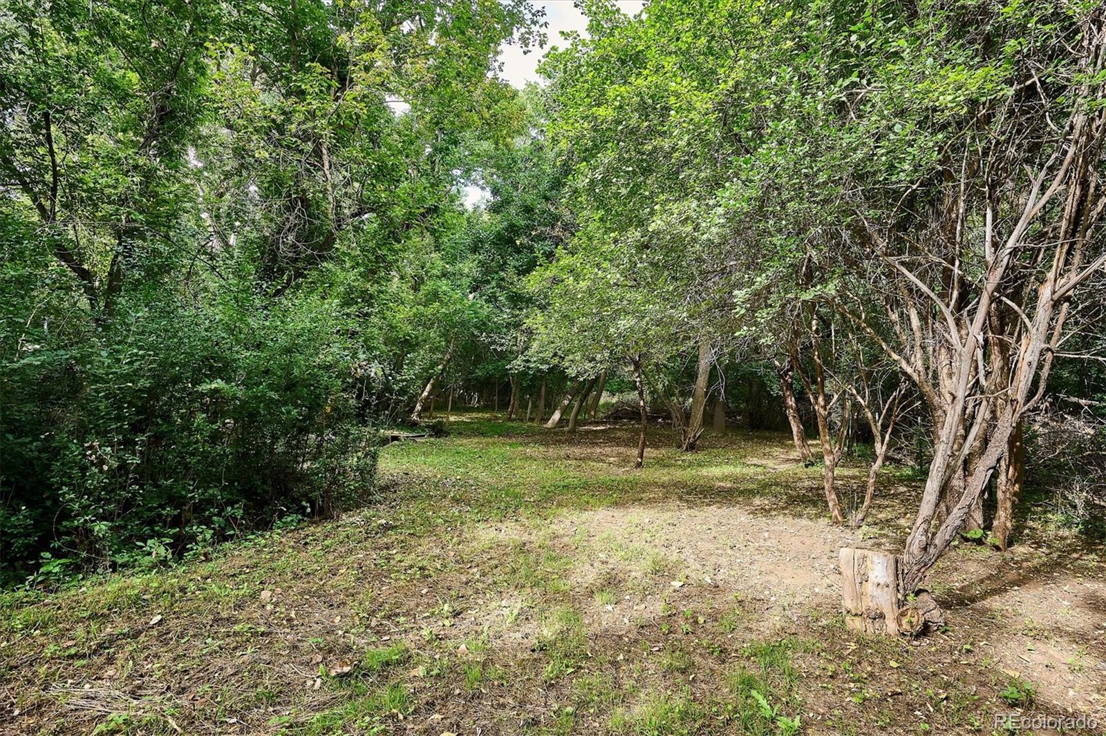 4002 Rolfe Court