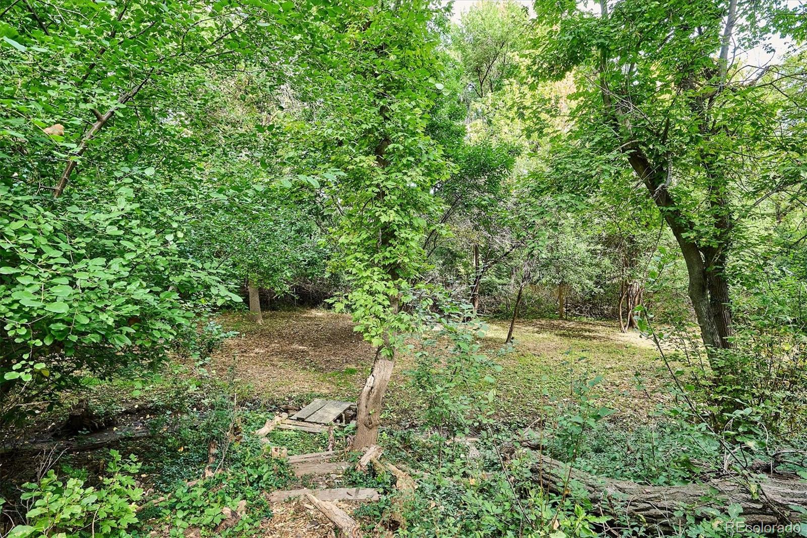 4002 Rolfe Court