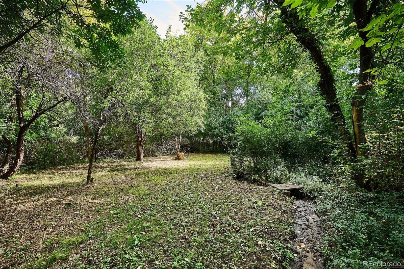 4002 Rolfe Court