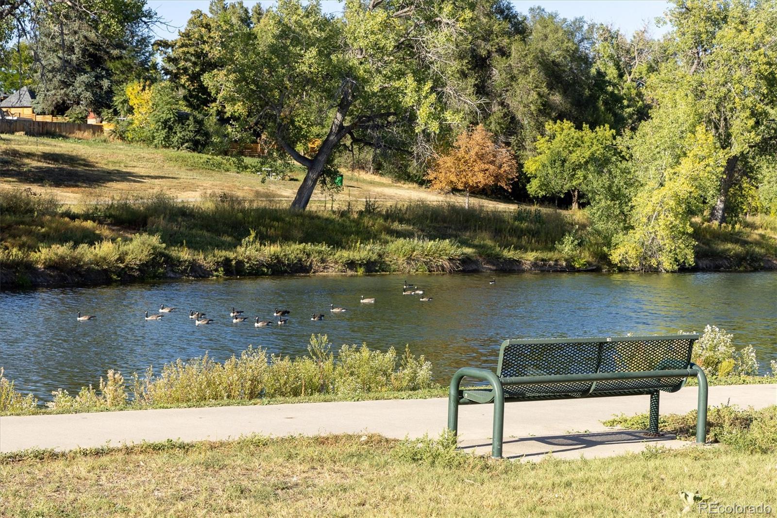 4931 Garrison Street Unit: 102A