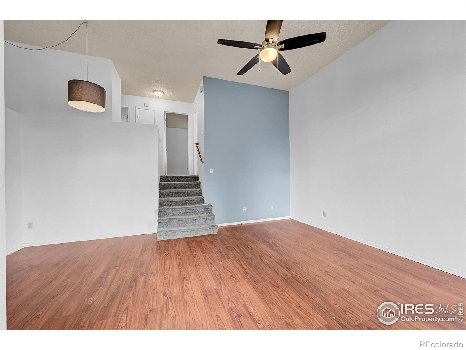 935 Vetch Circle