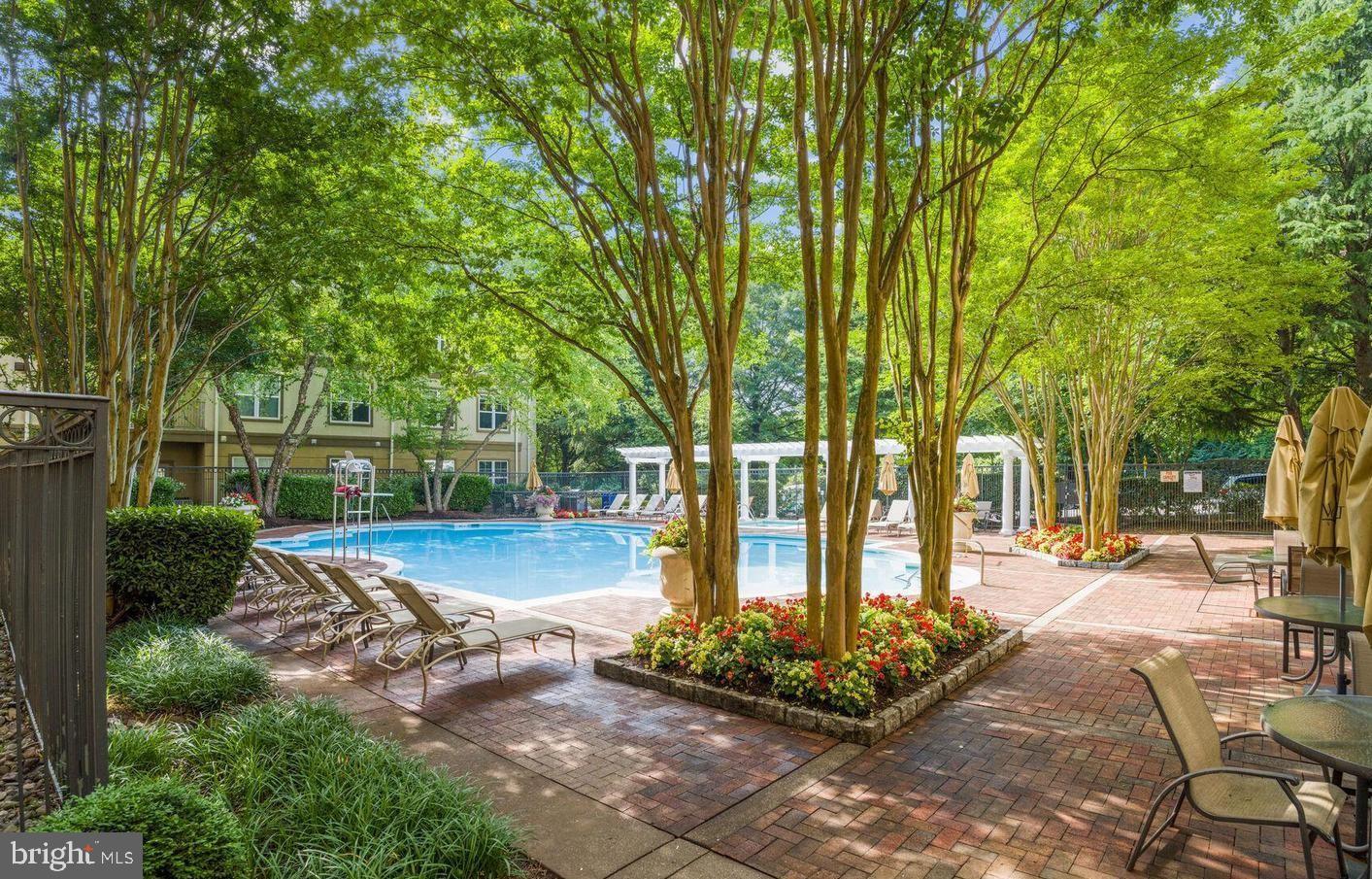 11800 Old Georgetown Rd #1217