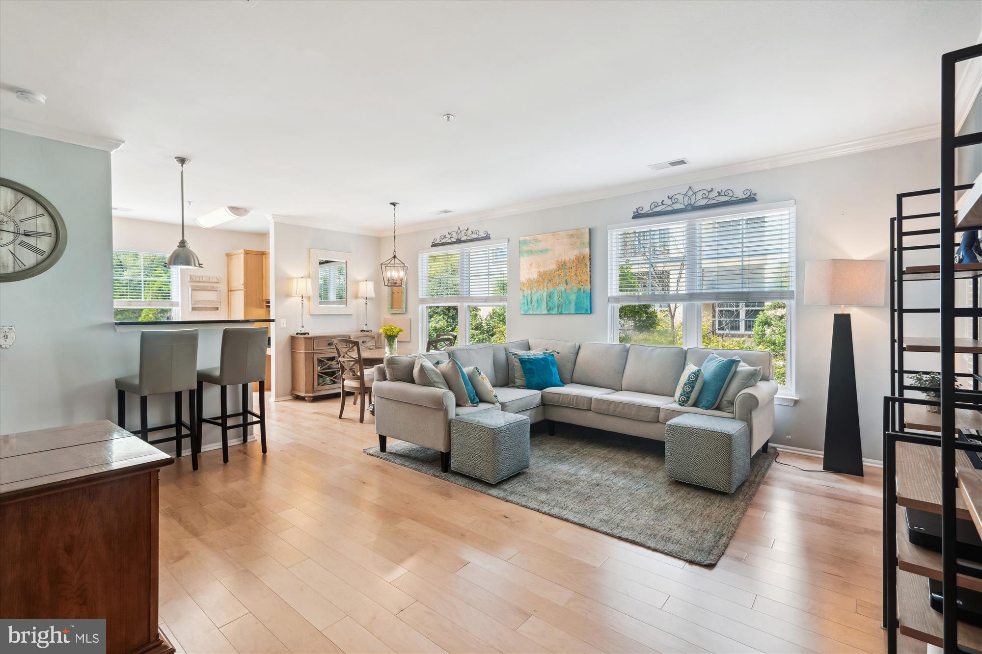 11800 Old Georgetown Rd #1217