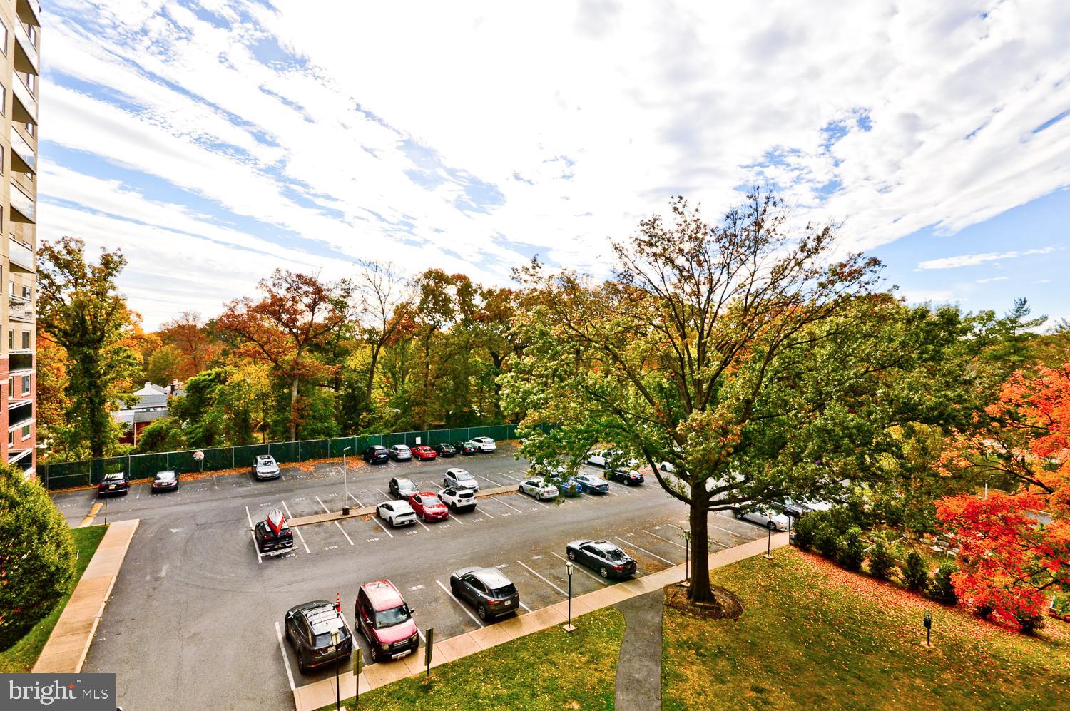 7333 NEW HAMPSHIRE AVENUE 517W