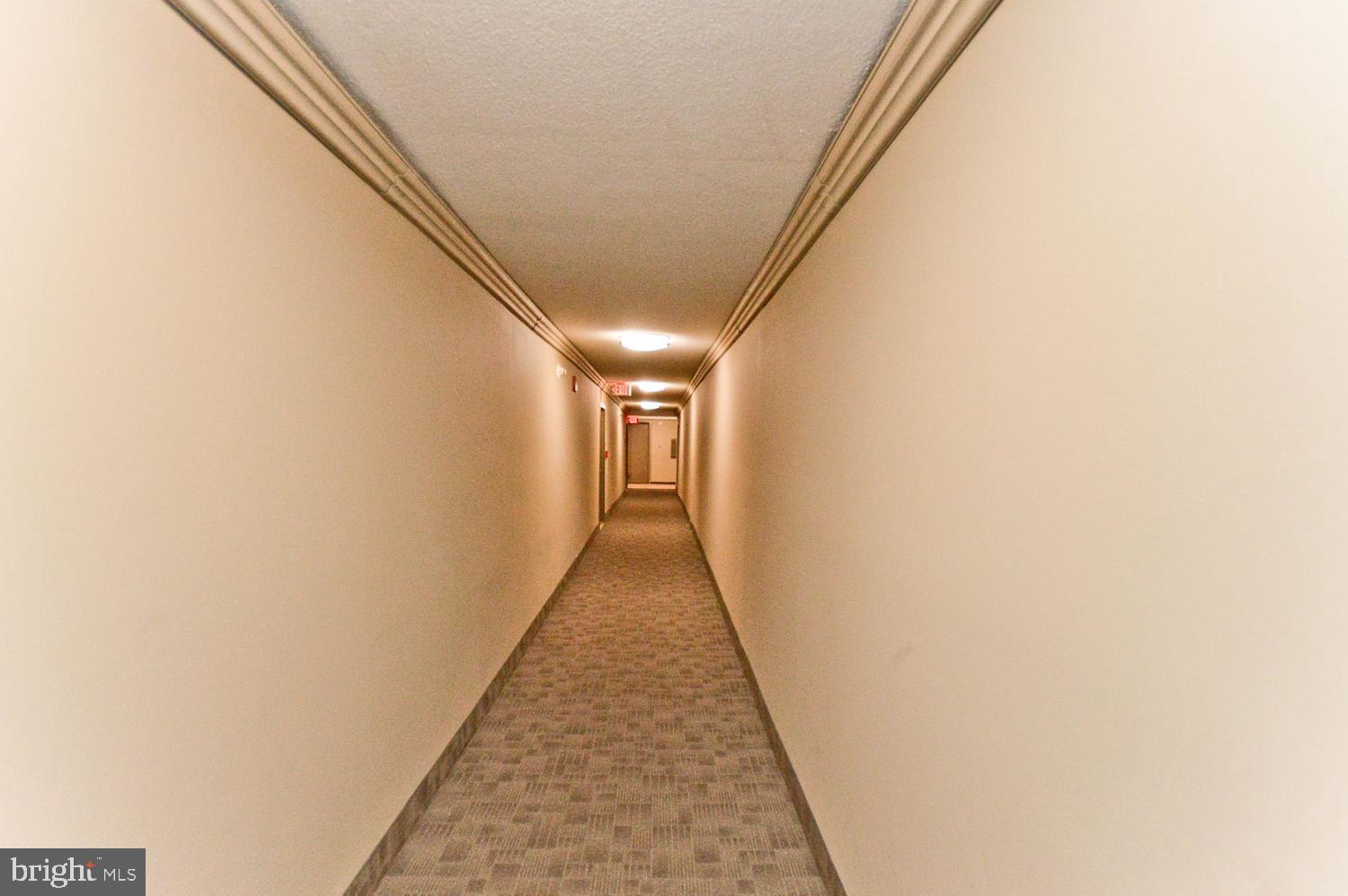 7333 NEW HAMPSHIRE AVENUE 517W