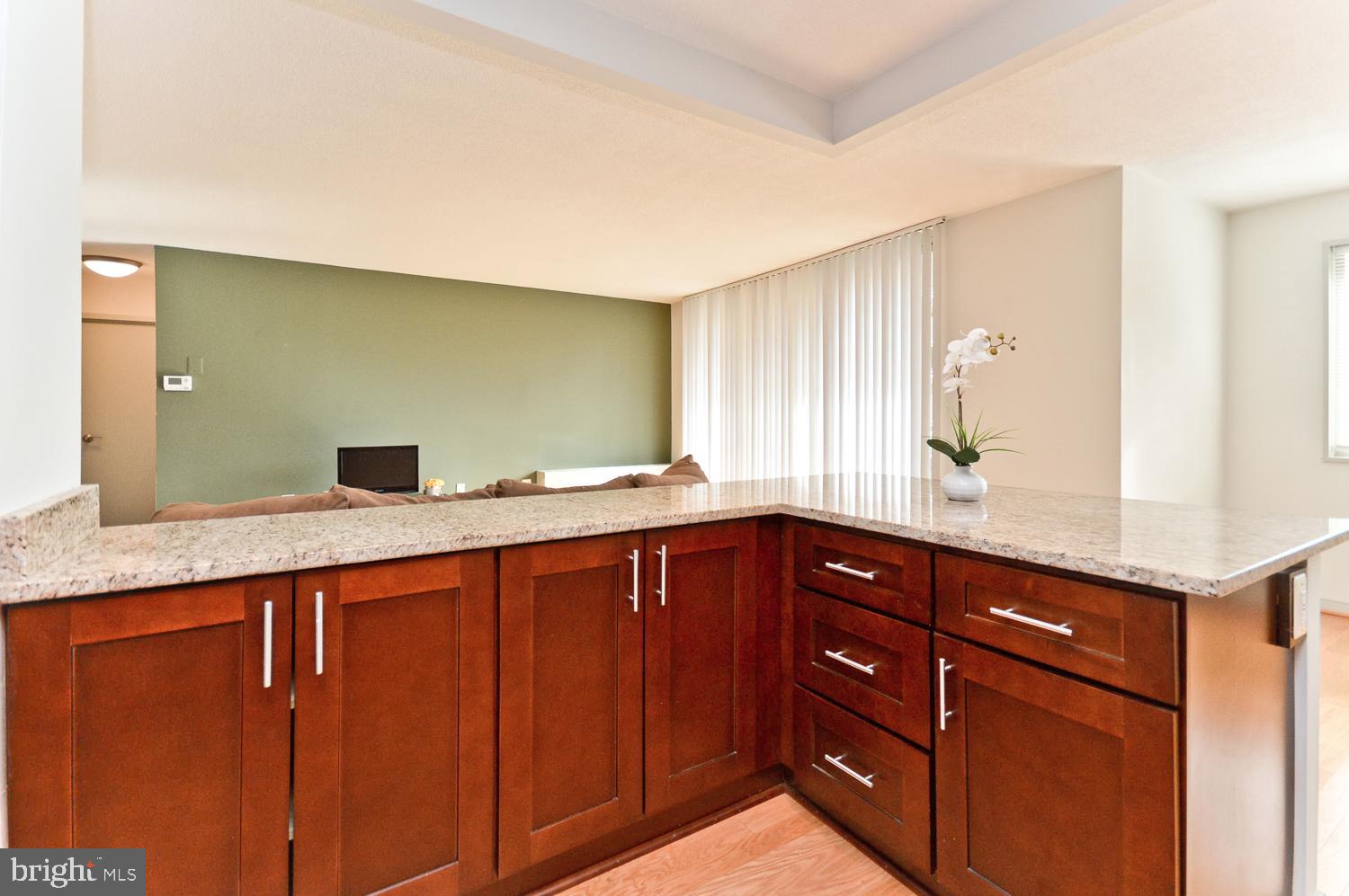 7333 NEW HAMPSHIRE AVENUE 517W