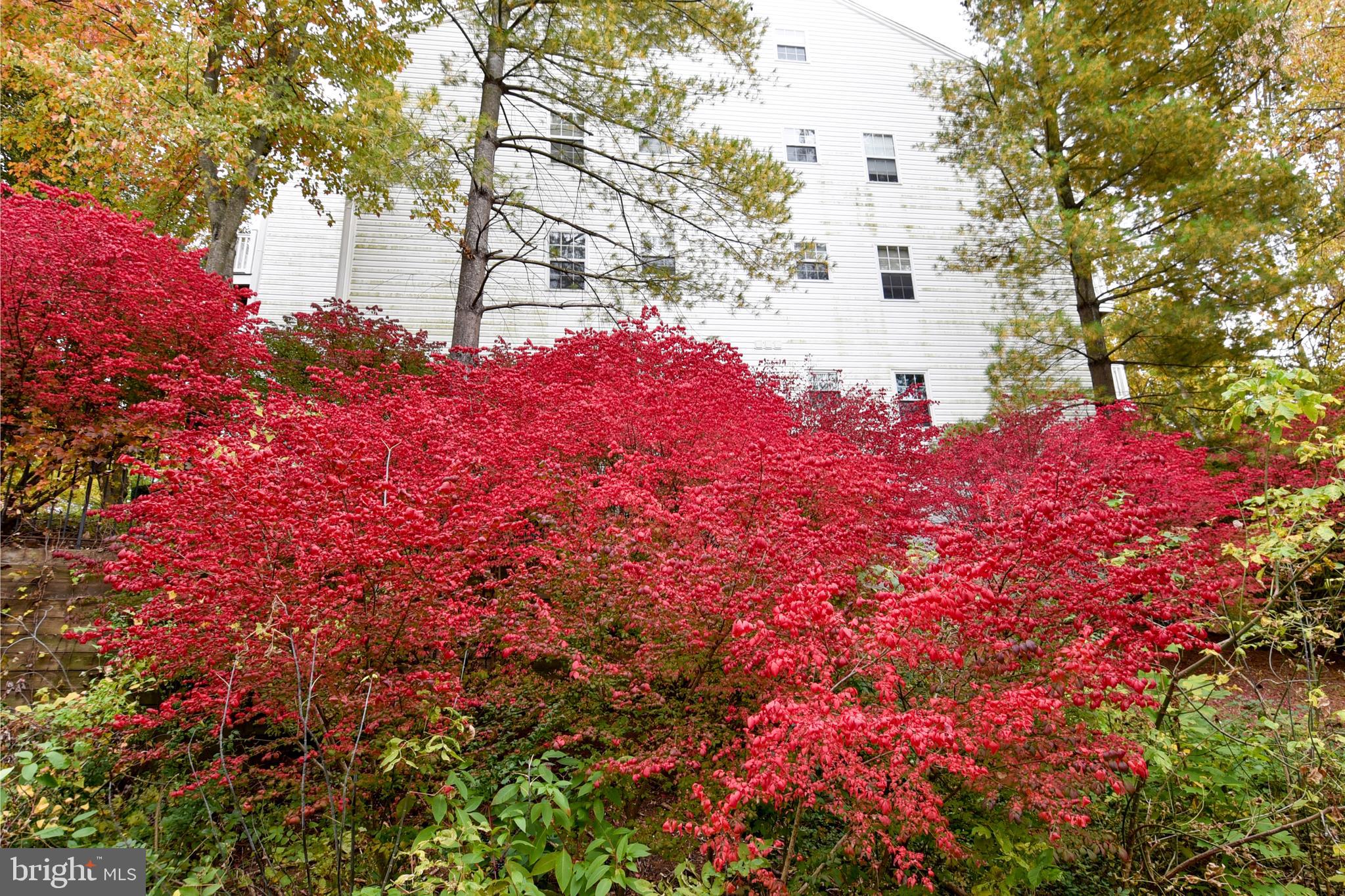 12914 Churchill Ridge Cir #6-K