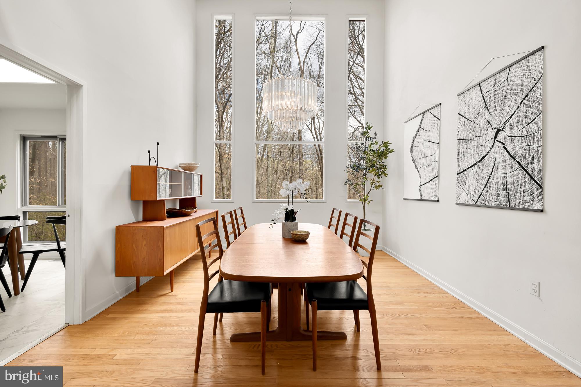 8509 TIMBER HILL LANE