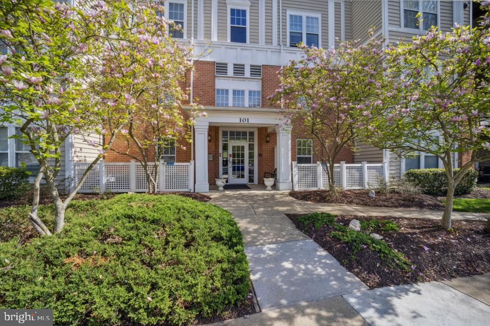 101 Watkins Pond Blvd #4-206