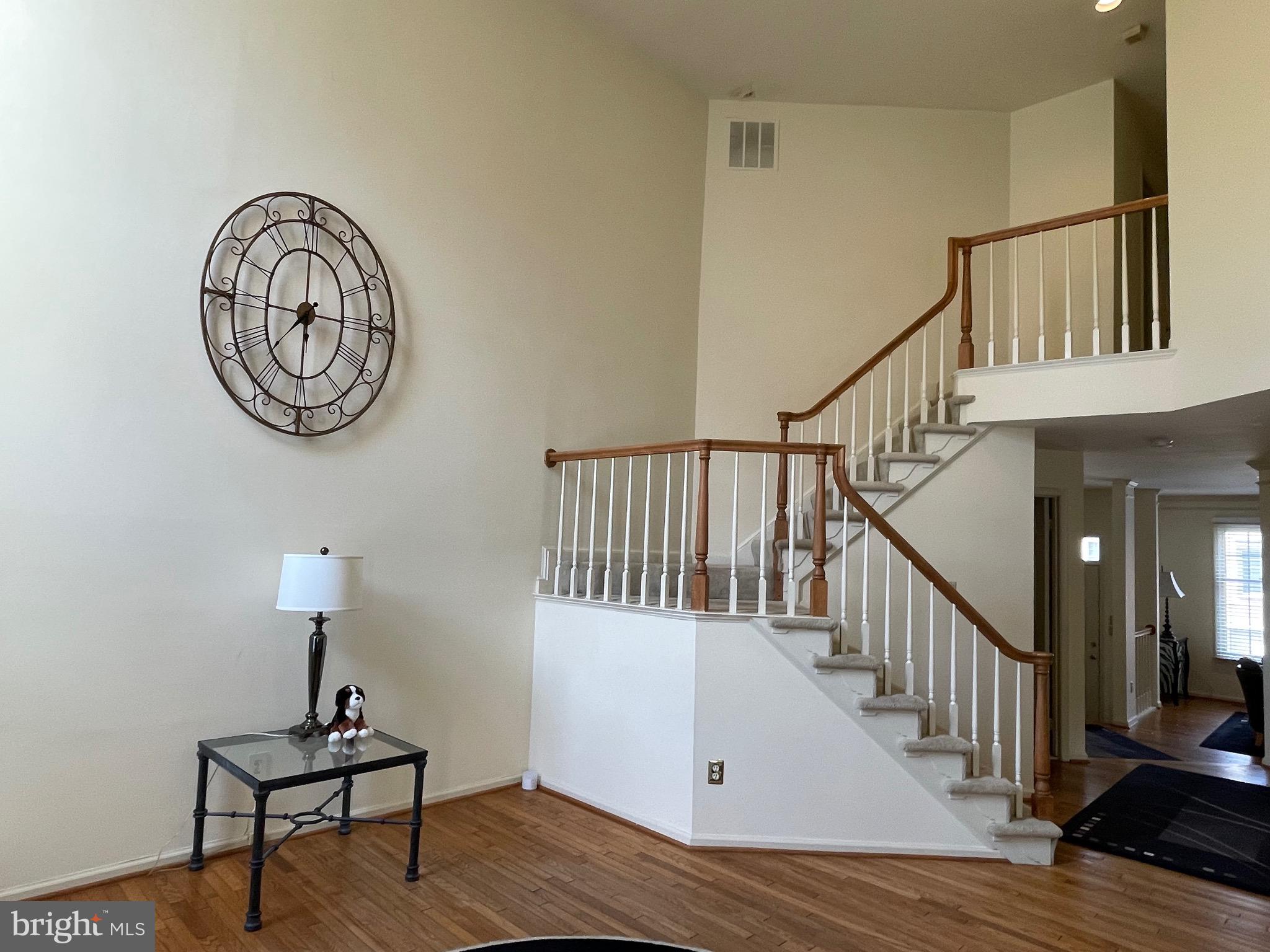 10926 BLOOMINGDALE DRIVE