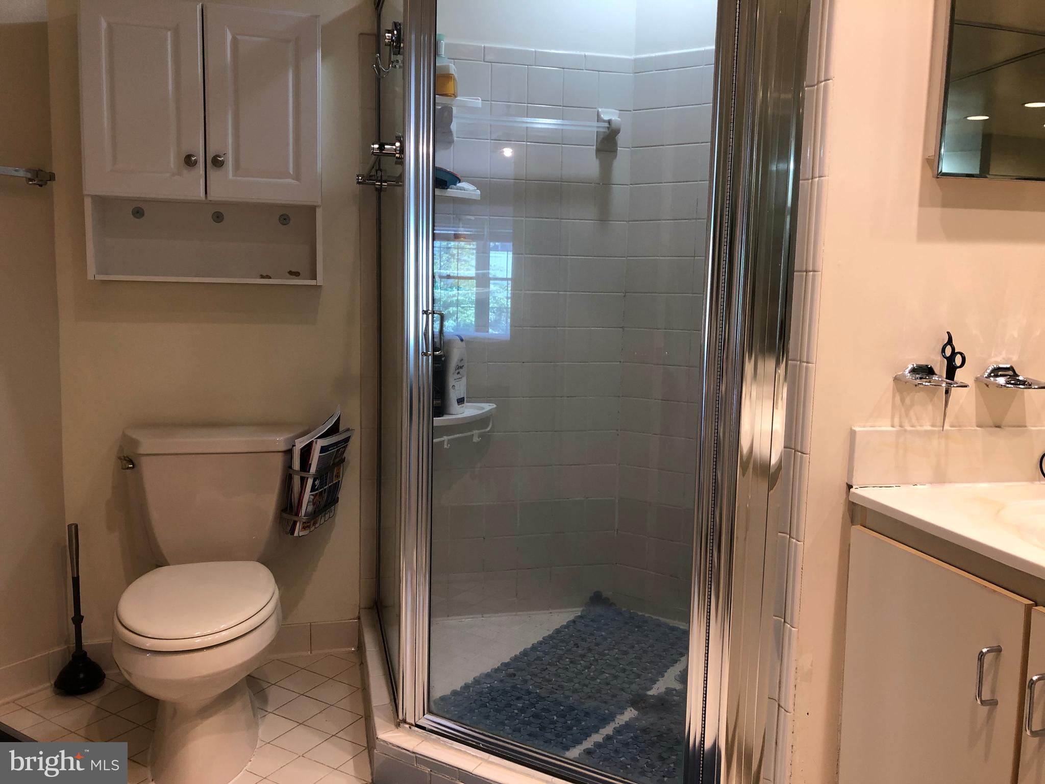 10926 BLOOMINGDALE DRIVE