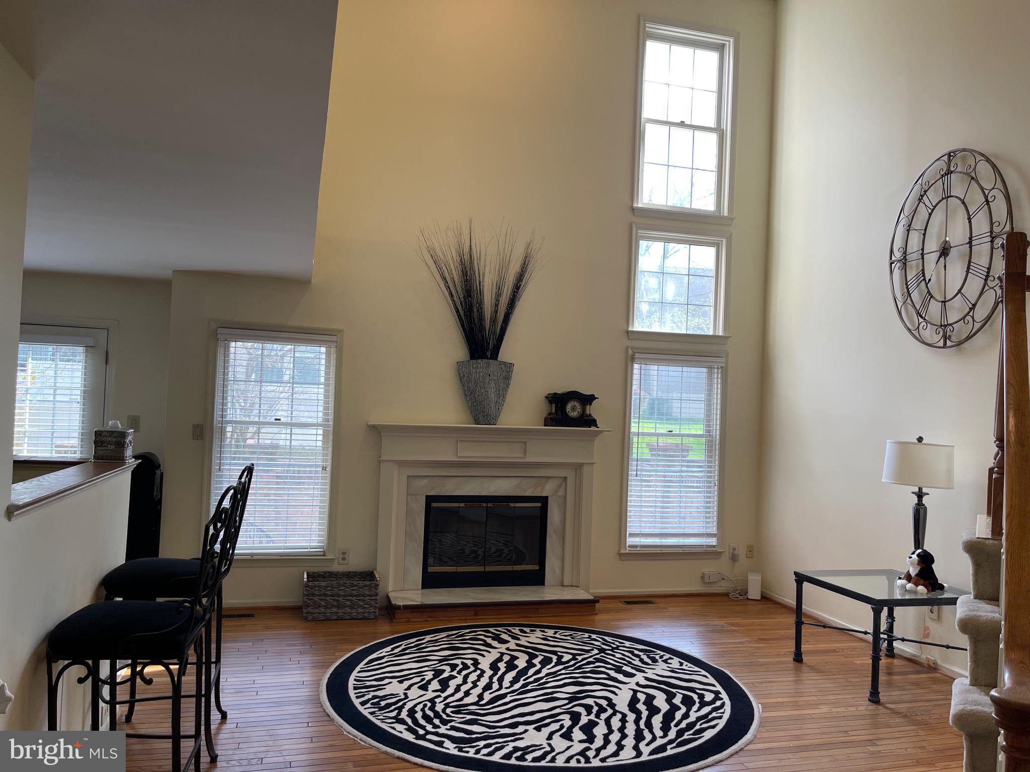 10926 BLOOMINGDALE DRIVE