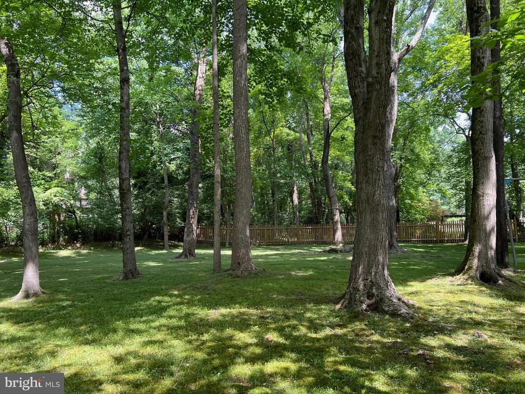 11611 DANVILLE DR