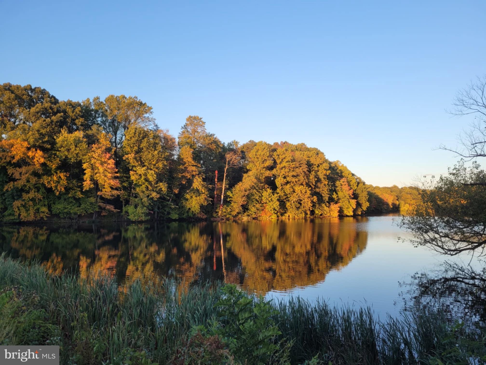 20805 CLEAR MORNING COURT