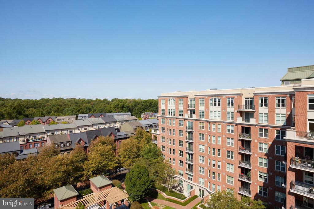 12500 Park Potomac Ave #1007s