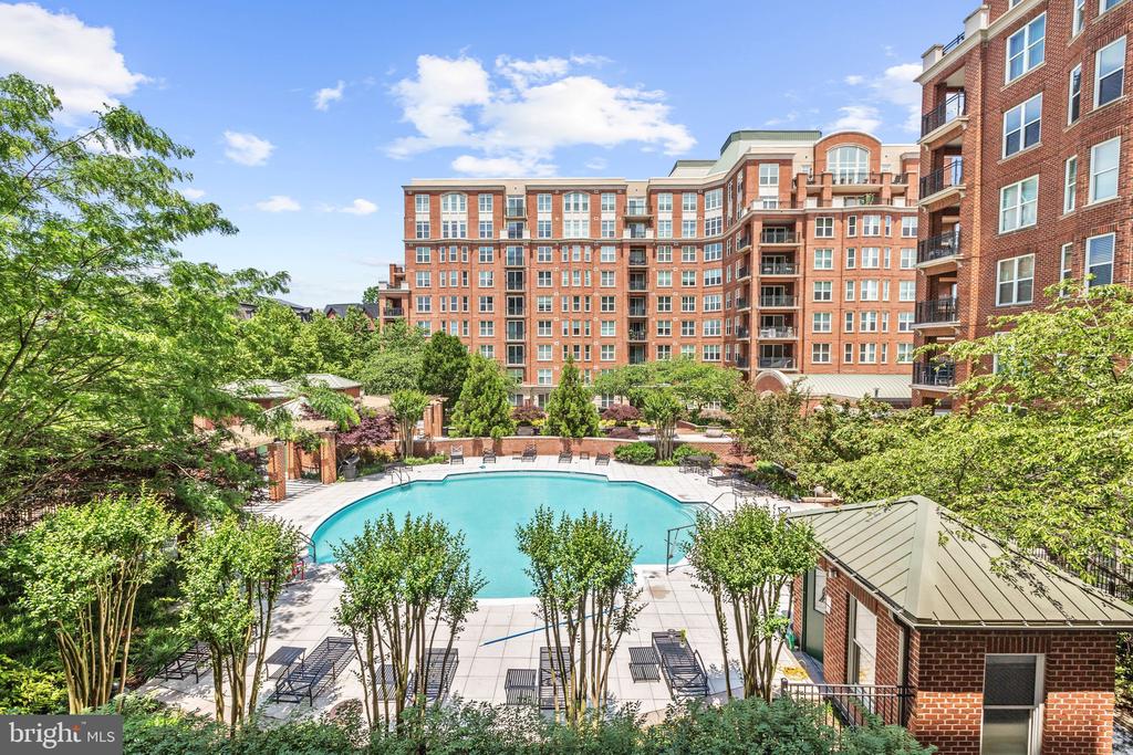 12500 Park Potomac Ave #1007s