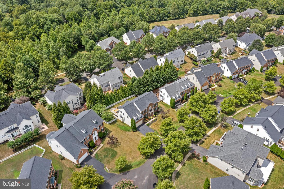 18606 HARVEST SCENE COURT