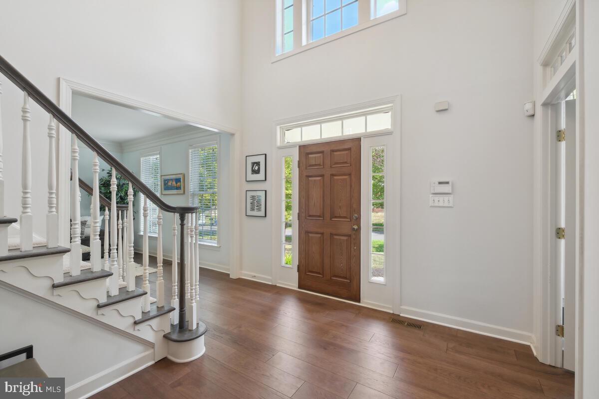 18606 HARVEST SCENE COURT