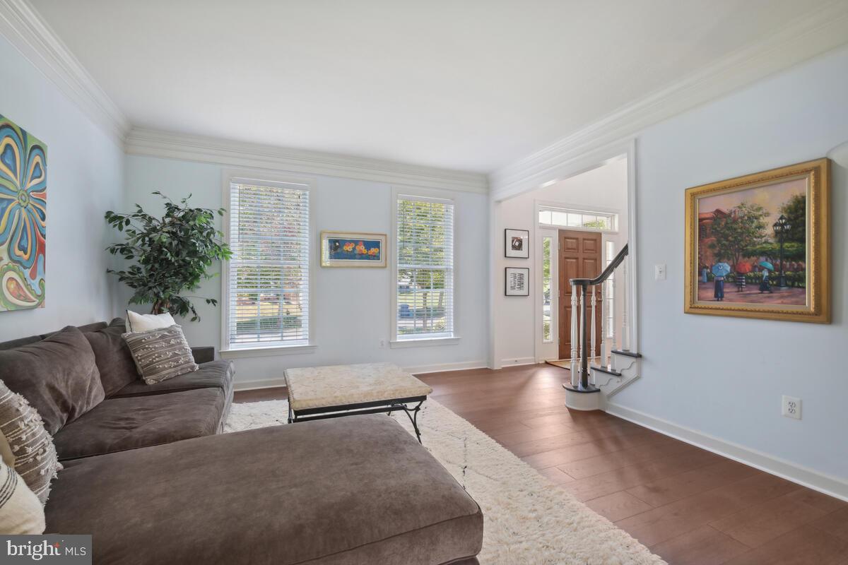 18606 HARVEST SCENE COURT