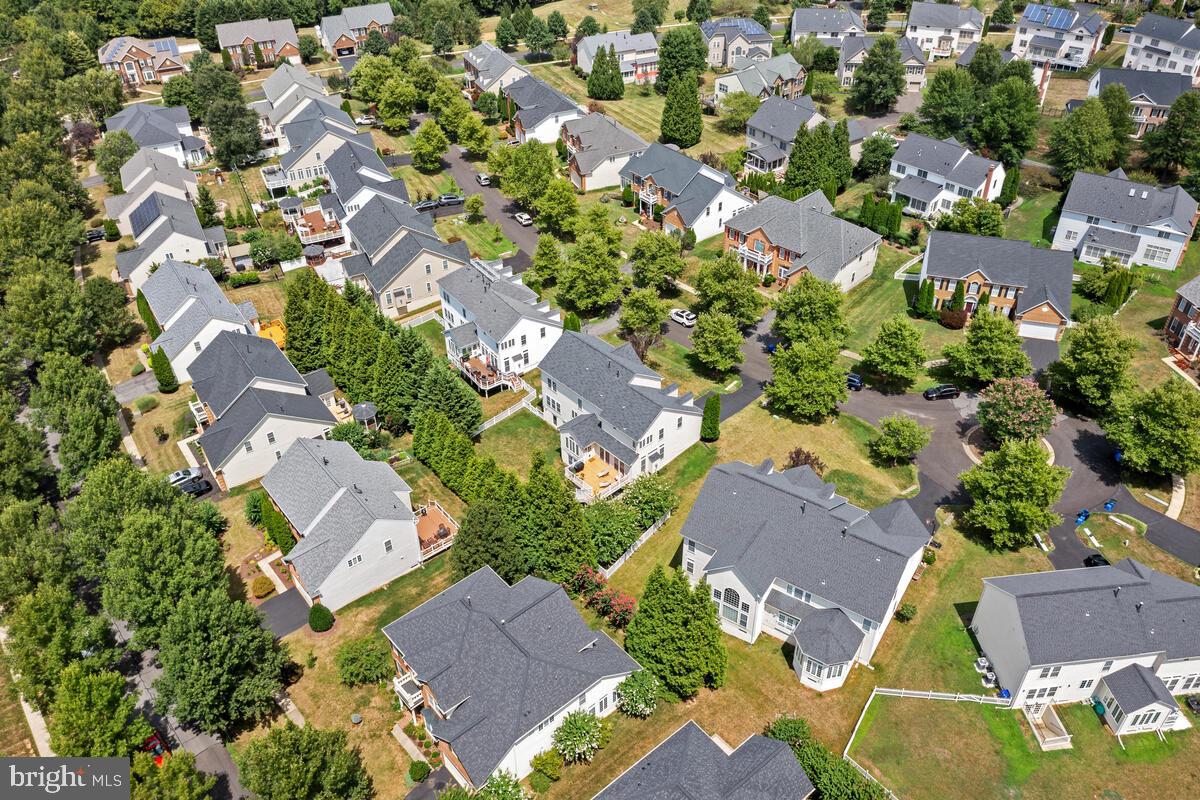 18606 HARVEST SCENE COURT