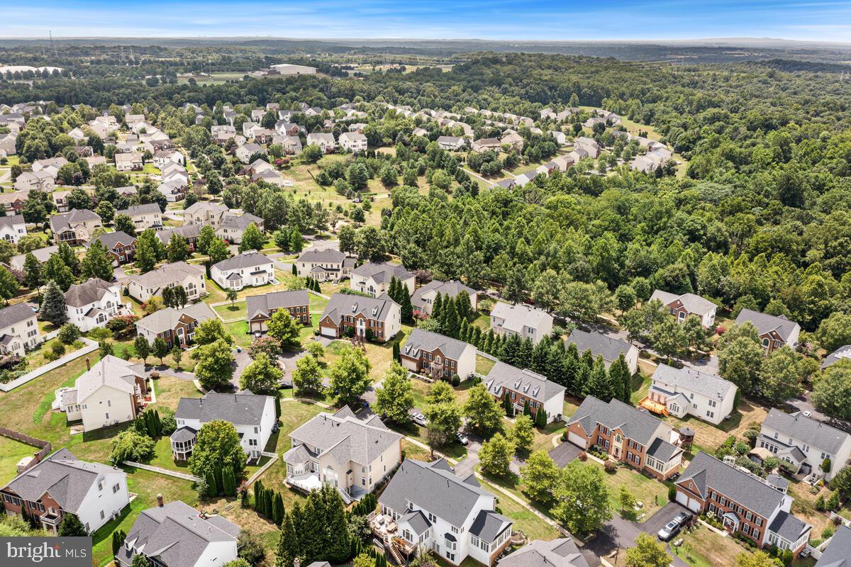 18606 HARVEST SCENE COURT