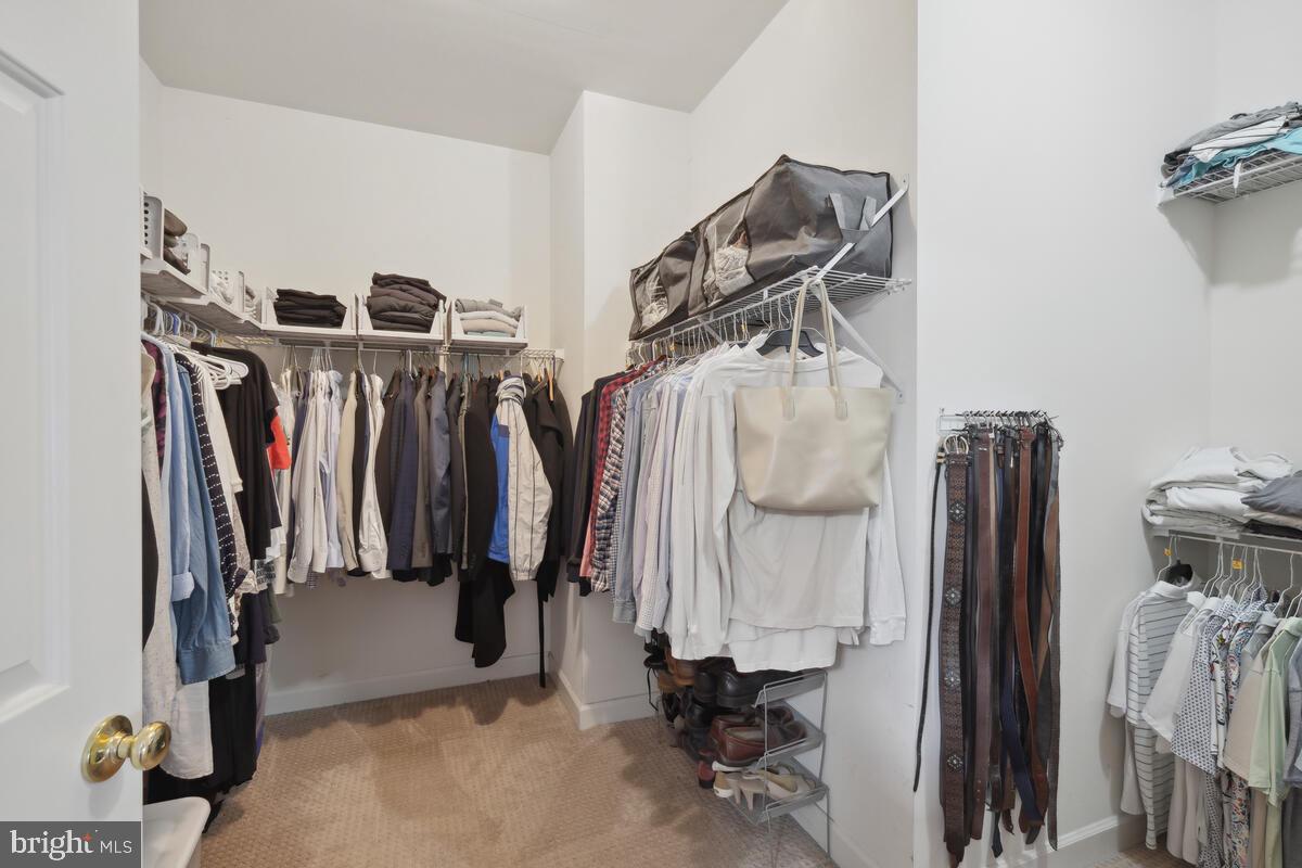 18606 HARVEST SCENE COURT