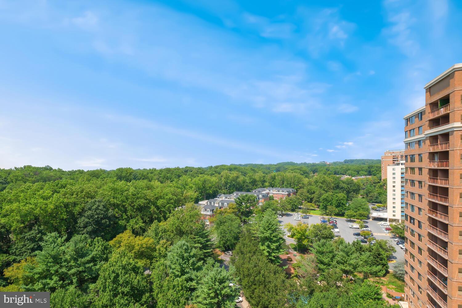 10101 Grosvenor Pl #1704