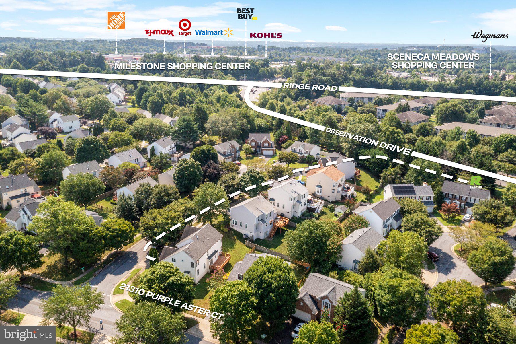 21310 Purple Aster Ct