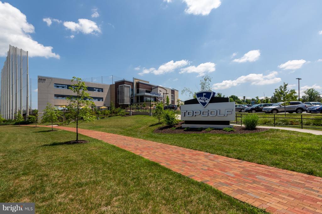 21310 Purple Aster Ct