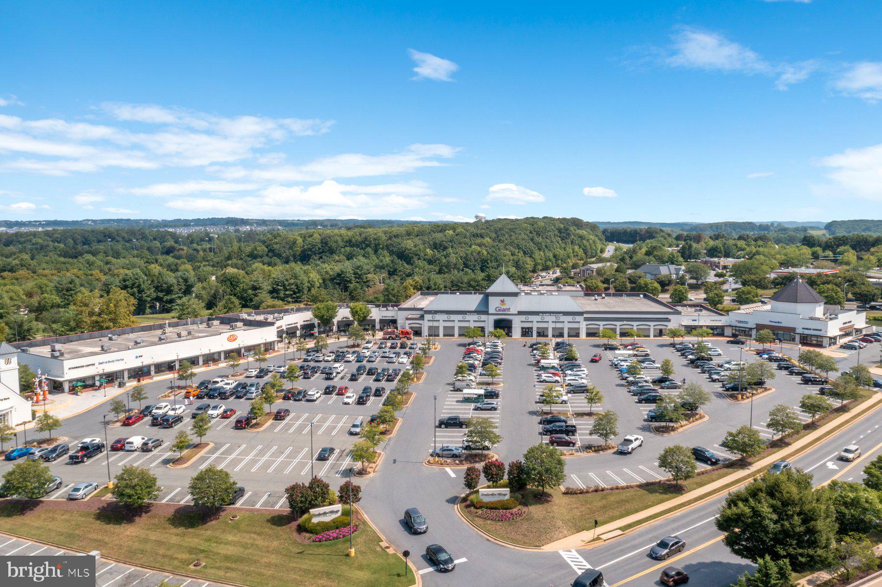 21310 Purple Aster Ct