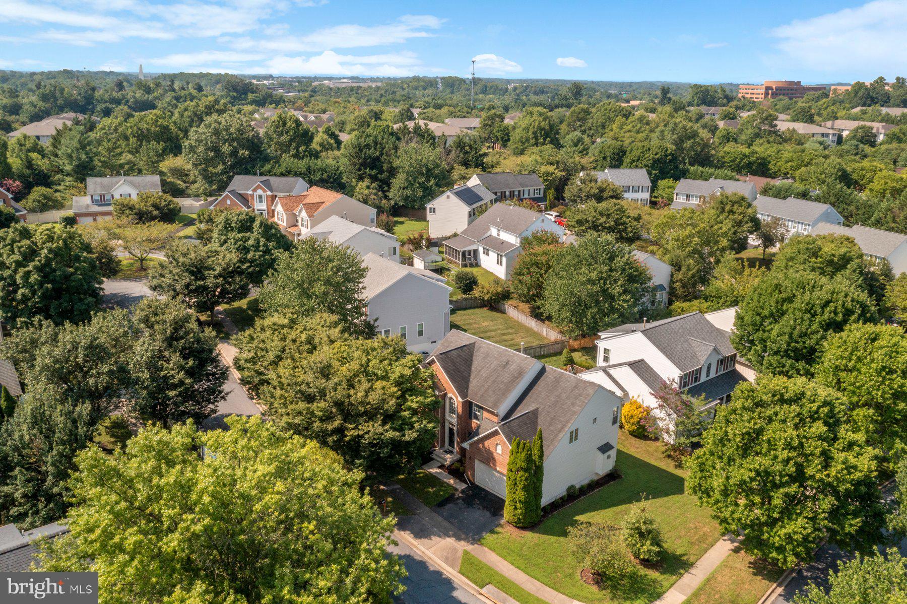 21310 Purple Aster Ct