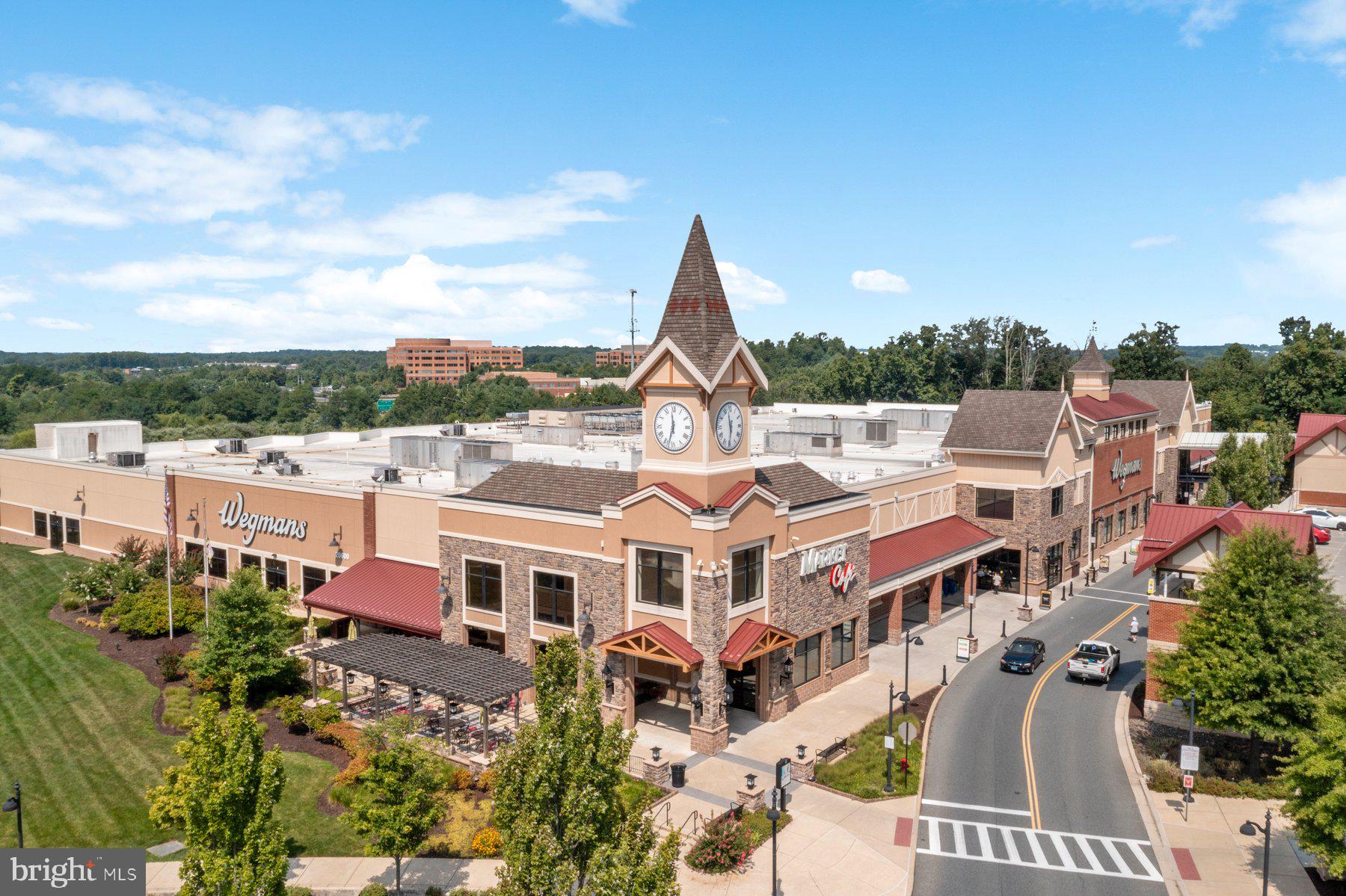 21310 Purple Aster Ct