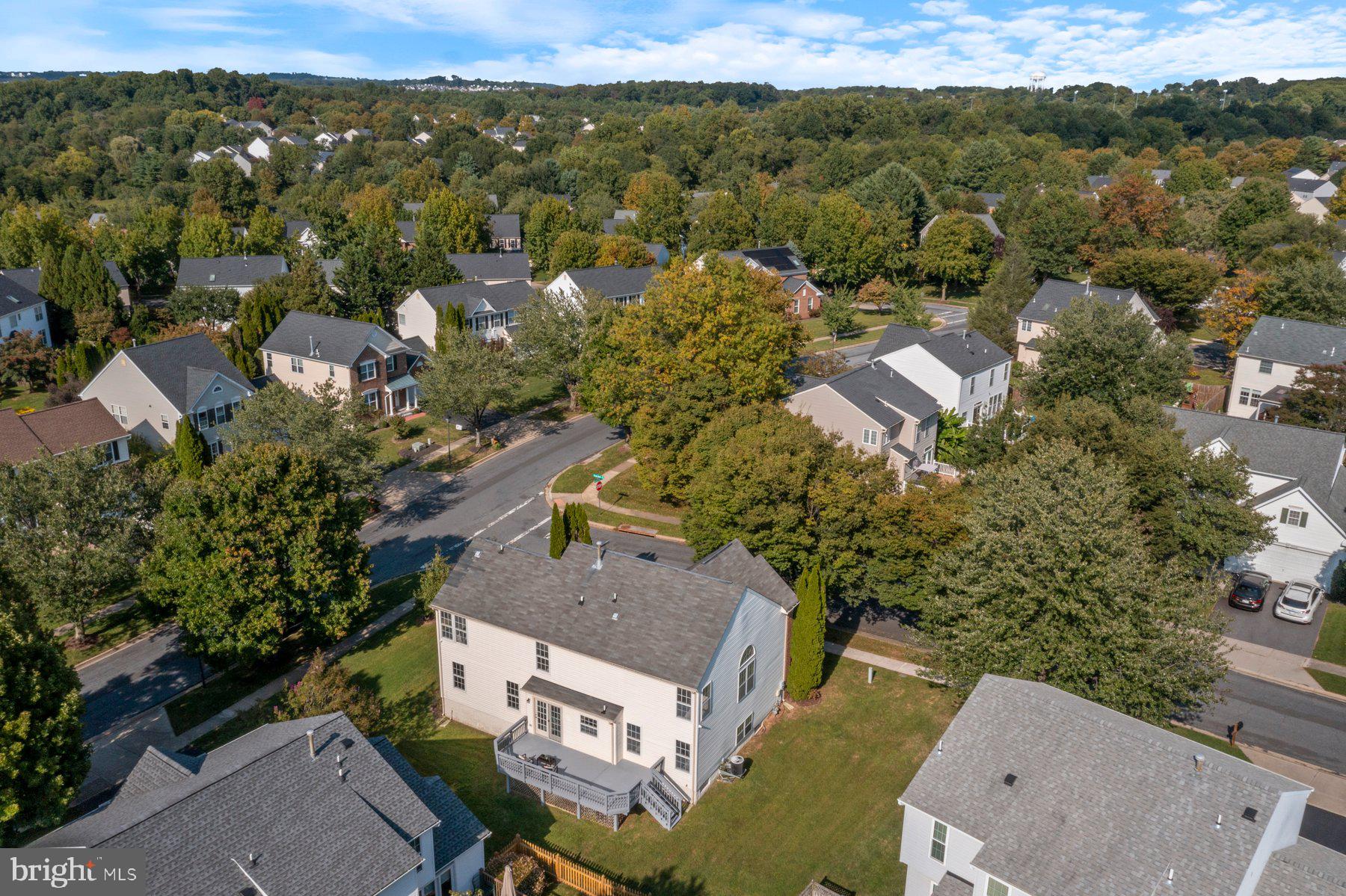 21310 Purple Aster Ct