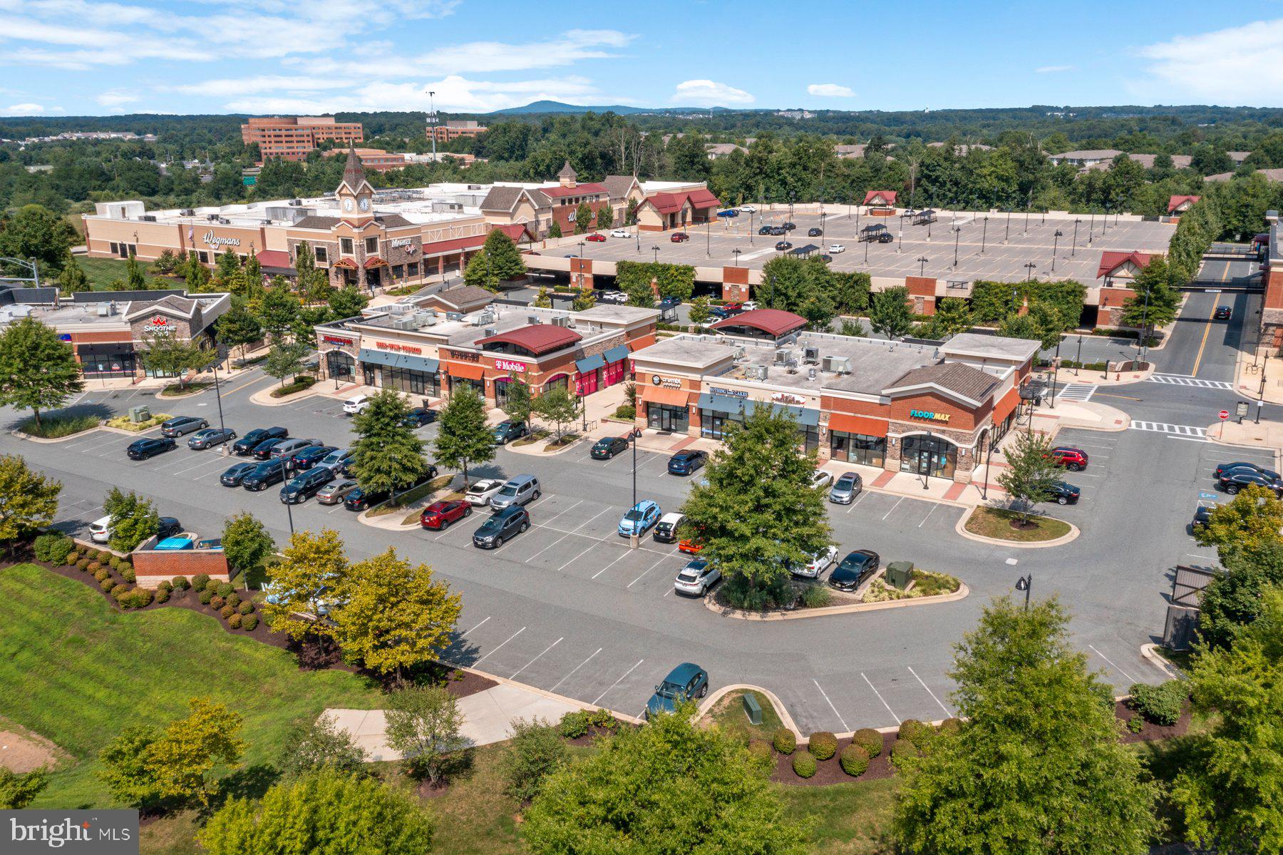 21310 Purple Aster Ct