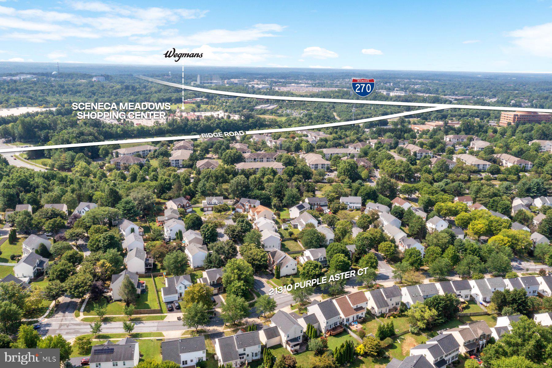 21310 Purple Aster Ct