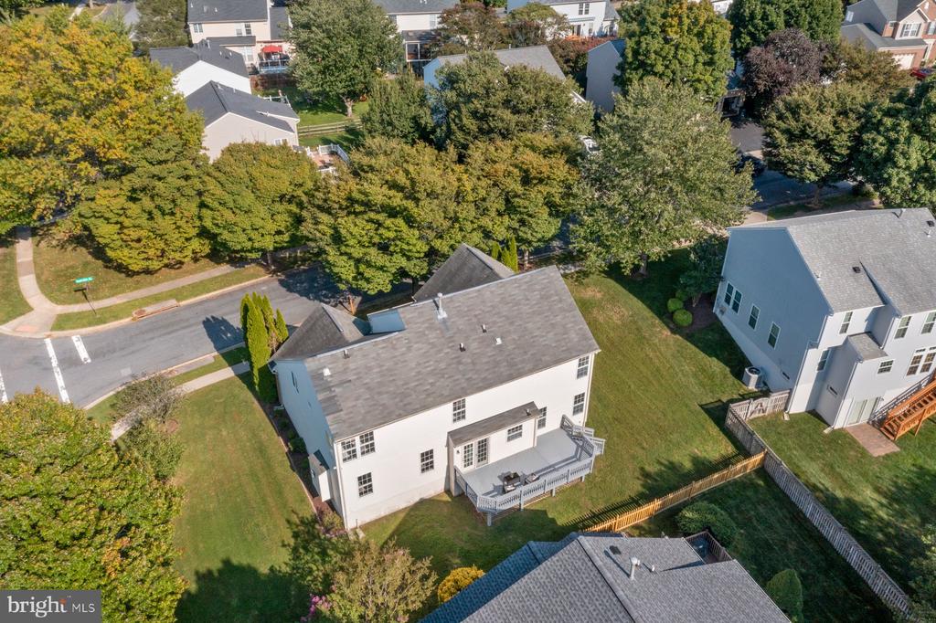 21310 Purple Aster Ct