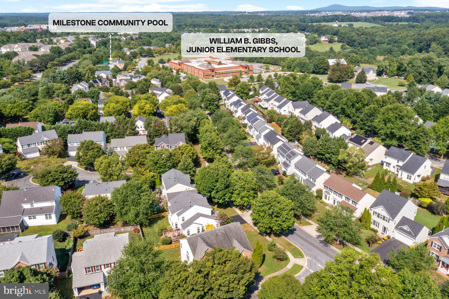 21310 Purple Aster Ct