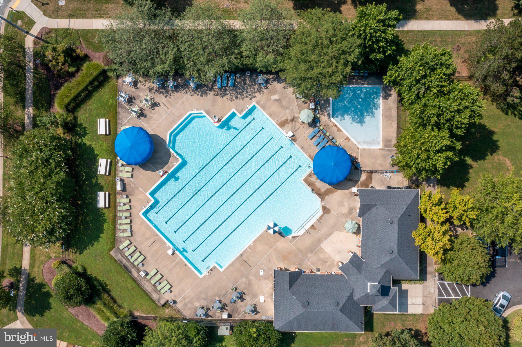 21310 Purple Aster Ct