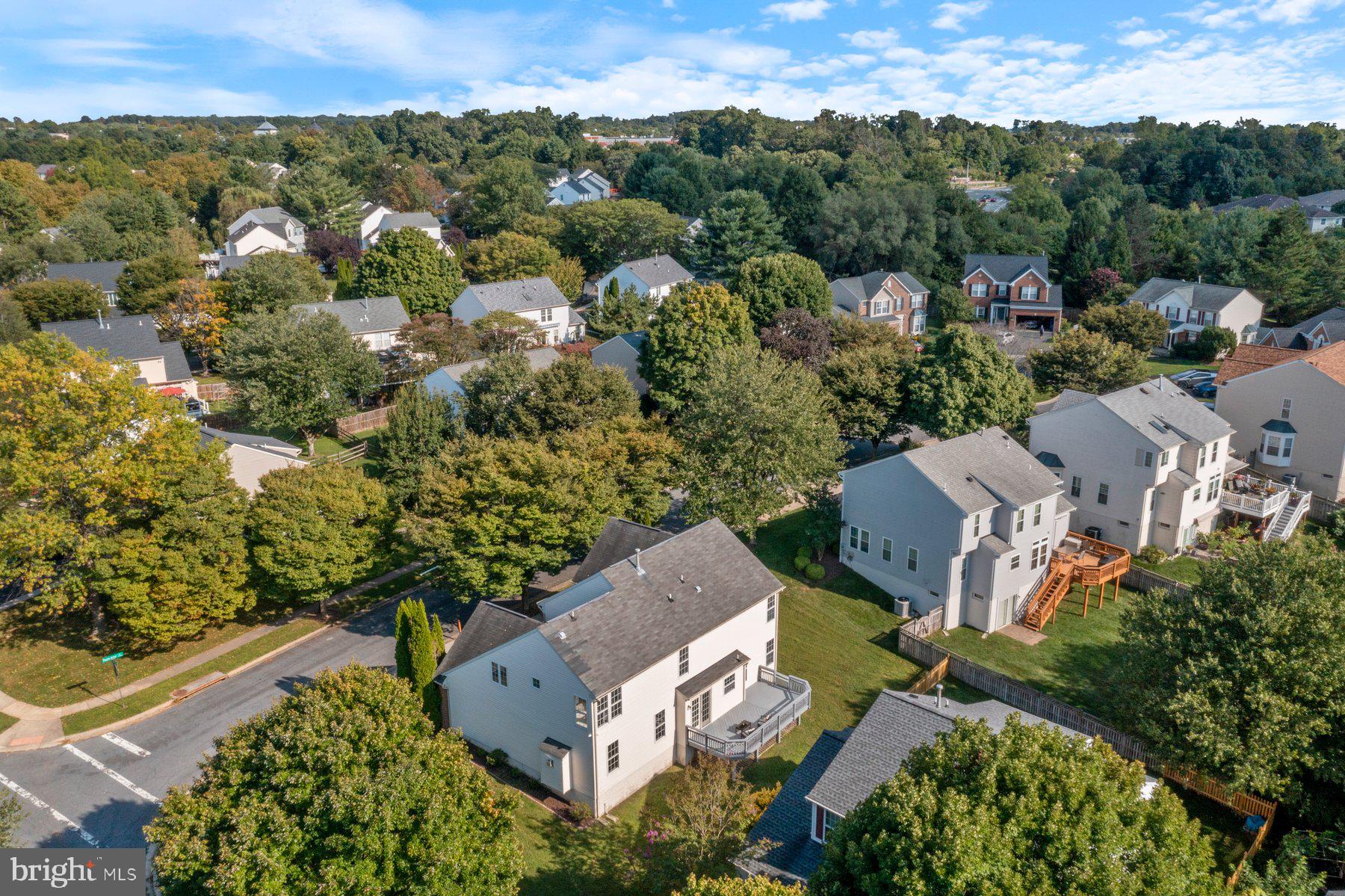 21310 Purple Aster Ct