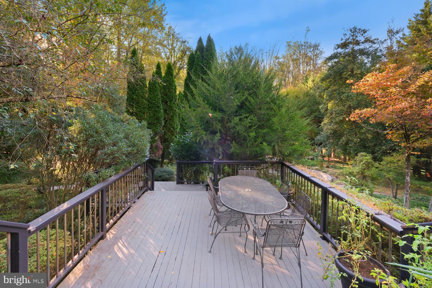 11116 Arroyo Dr